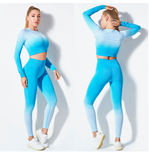 Yogamelaa™ Seamless Gradient Yoga Wear