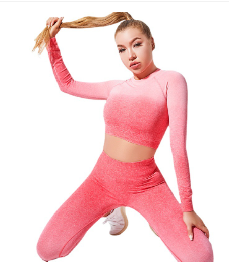 Yogamelaa™ Seamless Gradient Yoga Wear